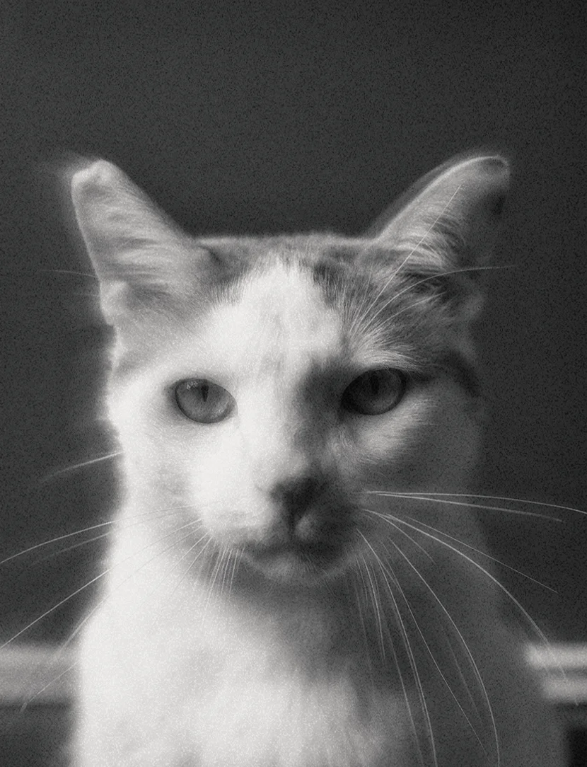 Kinder, director creativo de DE2070.