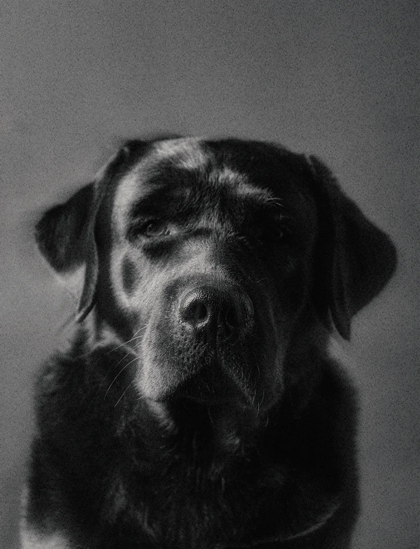 Mambo, account executive en DE2070.